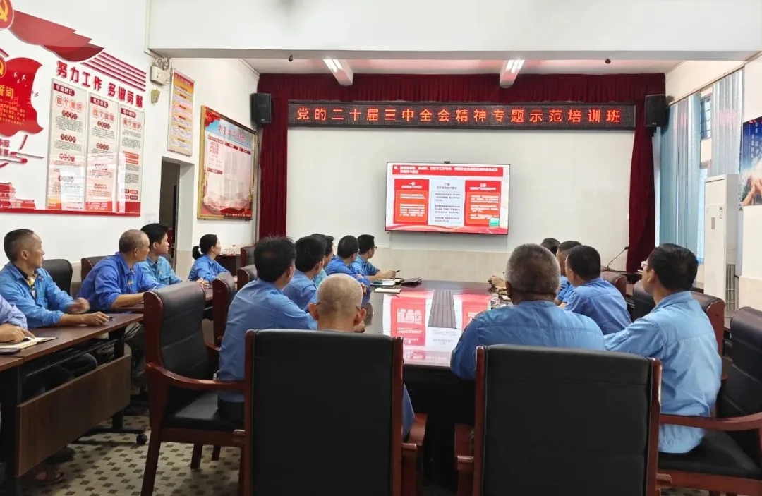 海南礦業(yè)組織觀看學(xué)習(xí)貫徹黨的二十屆三中全會(huì)精神專(zhuān)題示范班課堂視頻直播