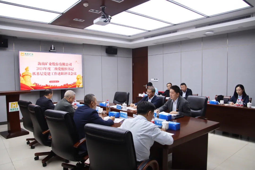 海南礦業(yè)黨委召開2024年度二級(jí)黨組織書記抓基層黨建工作述職評(píng)議會(huì)議